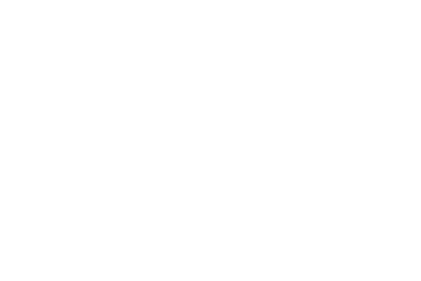 Raaf icon